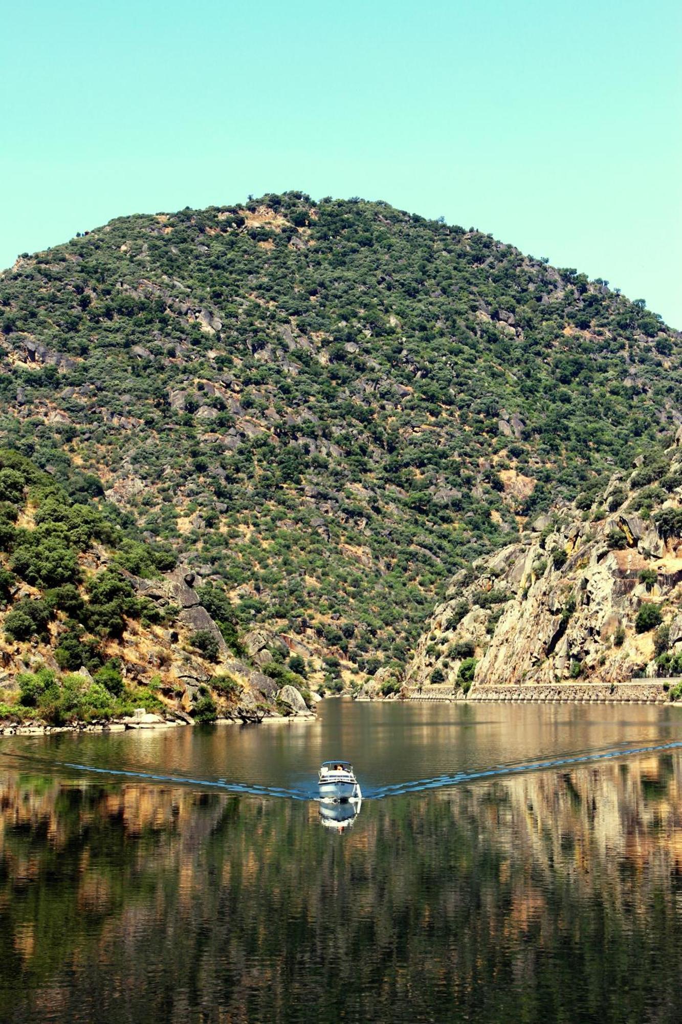 Douro Yacht Charter & Bungalows São João da Pesqueira 部屋 写真