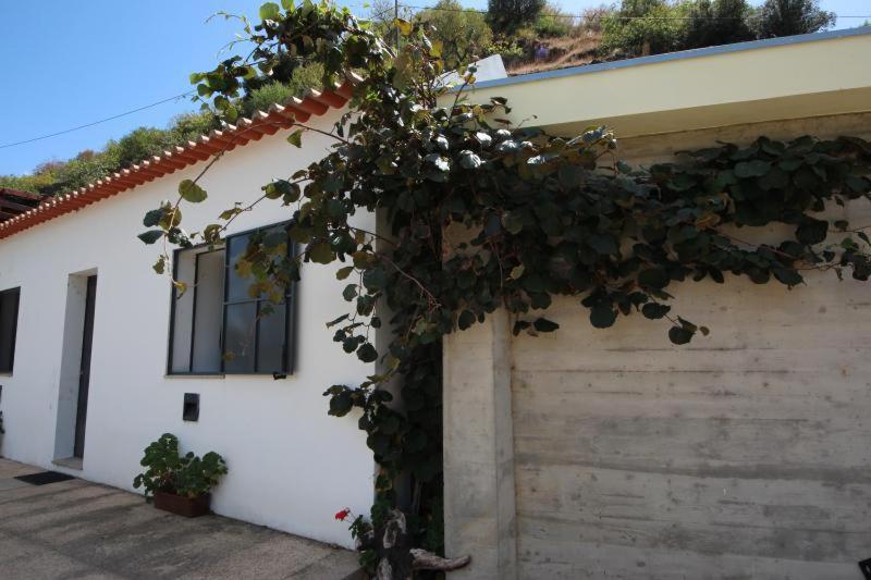 Douro Yacht Charter & Bungalows São João da Pesqueira エクステリア 写真