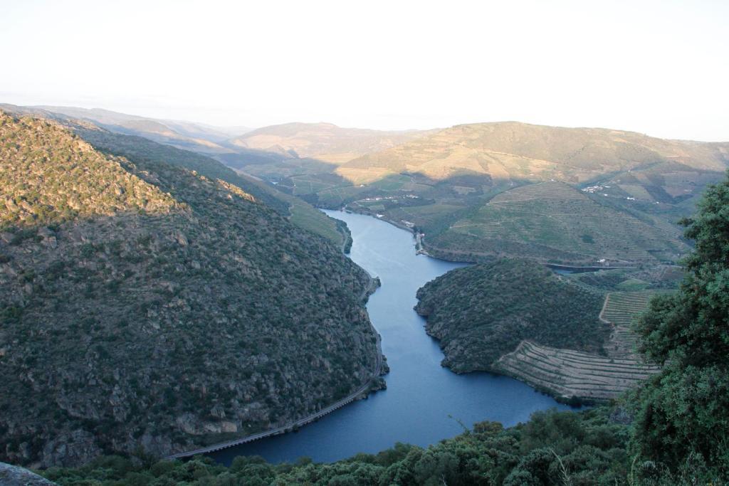 Douro Yacht Charter & Bungalows São João da Pesqueira エクステリア 写真