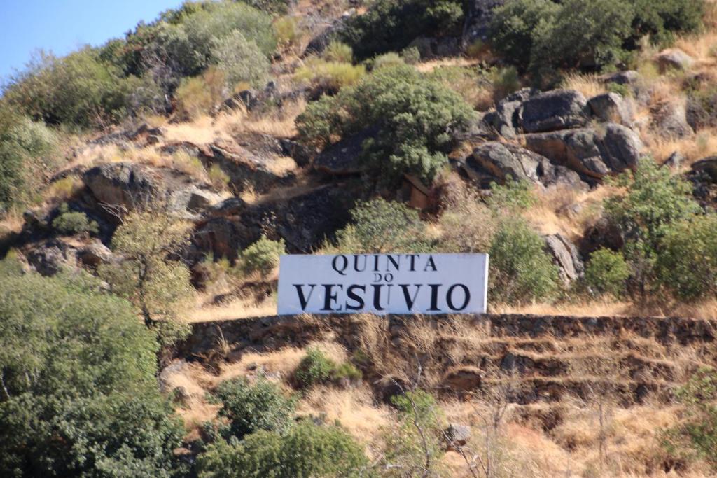 Douro Yacht Charter & Bungalows São João da Pesqueira エクステリア 写真
