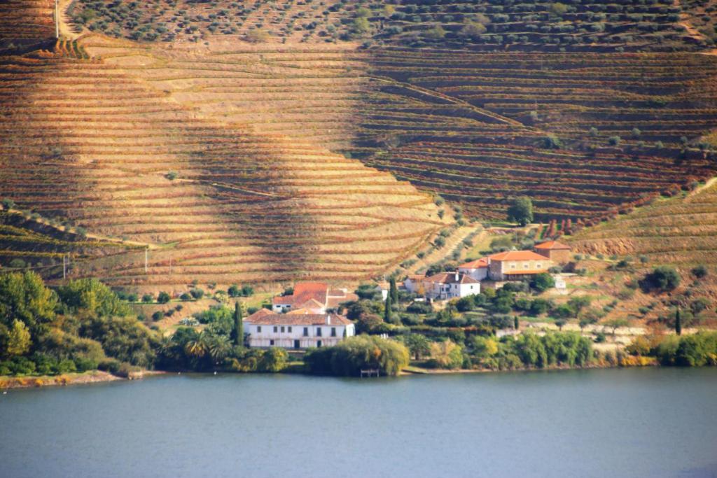 Douro Yacht Charter & Bungalows São João da Pesqueira エクステリア 写真