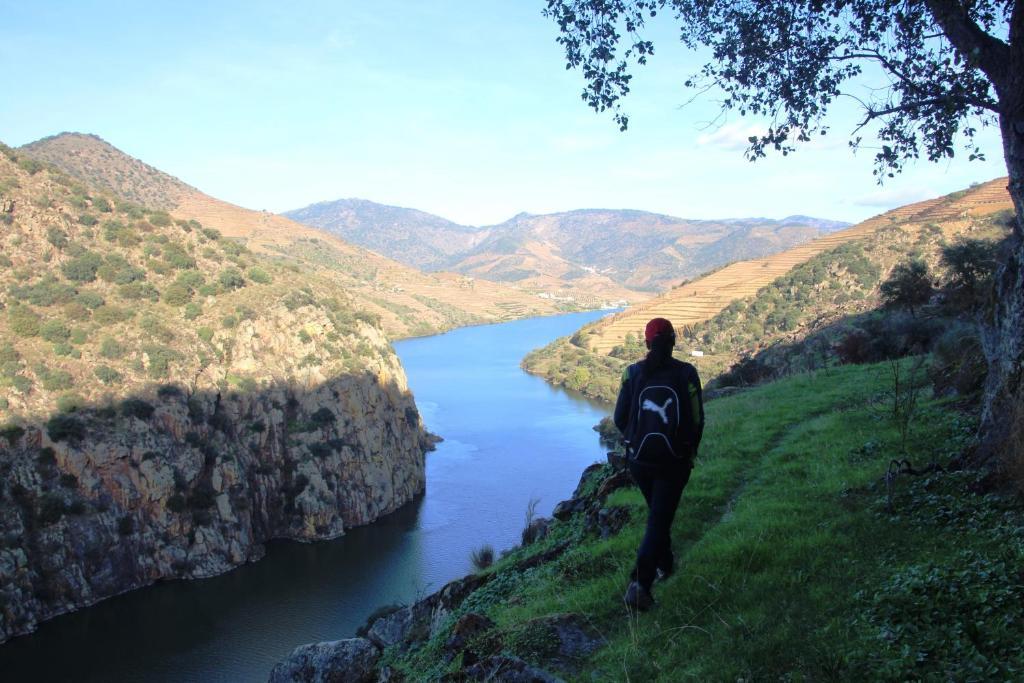 Douro Yacht Charter & Bungalows São João da Pesqueira エクステリア 写真